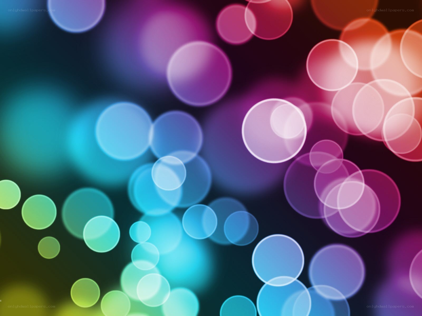 colorful bokeh light circles