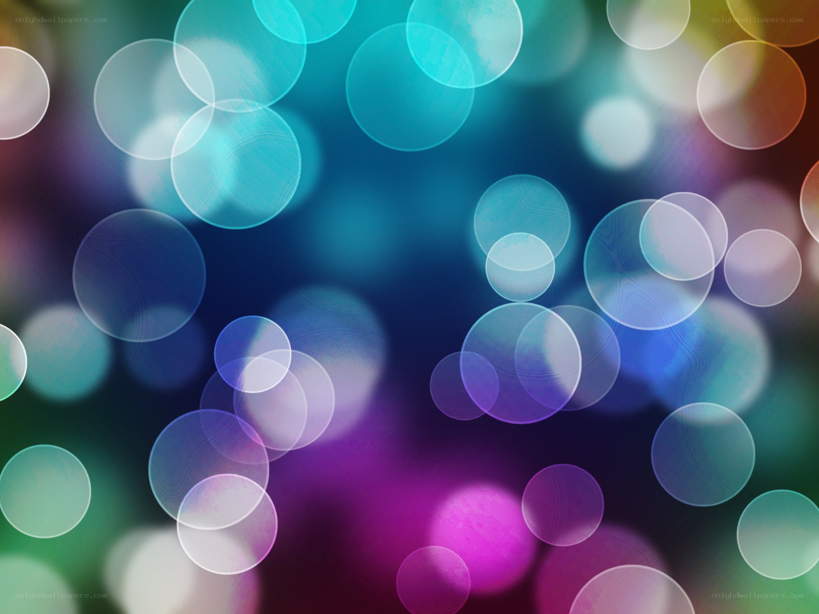 colorful bokeh light circles