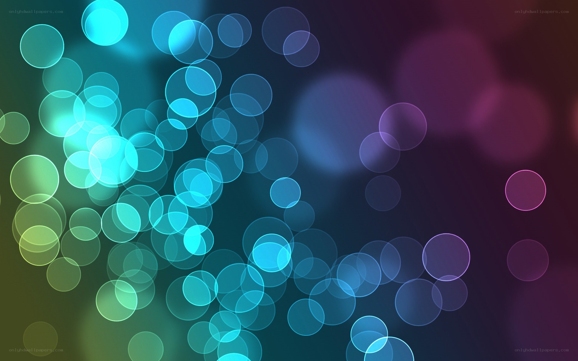 colorful bokeh light circles