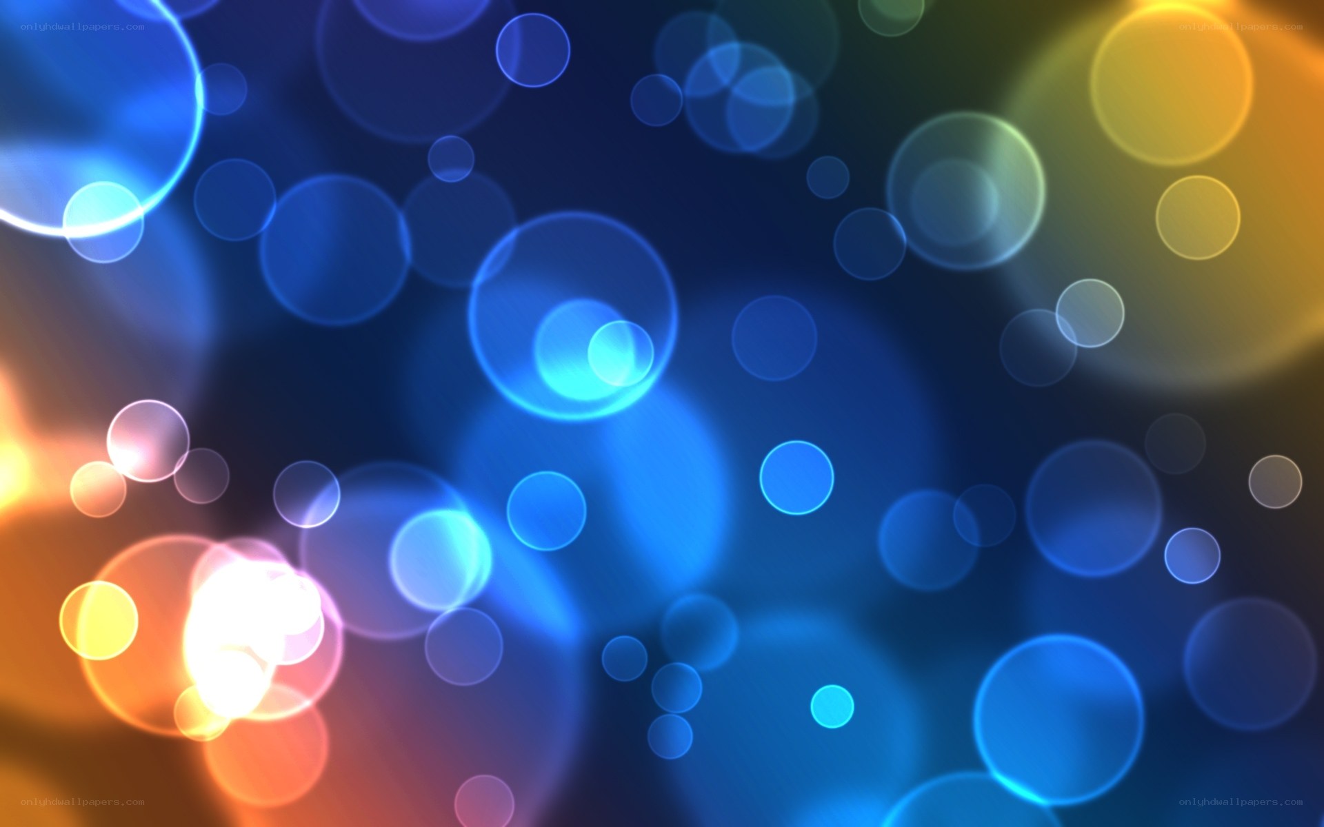 colorful bokeh light circles