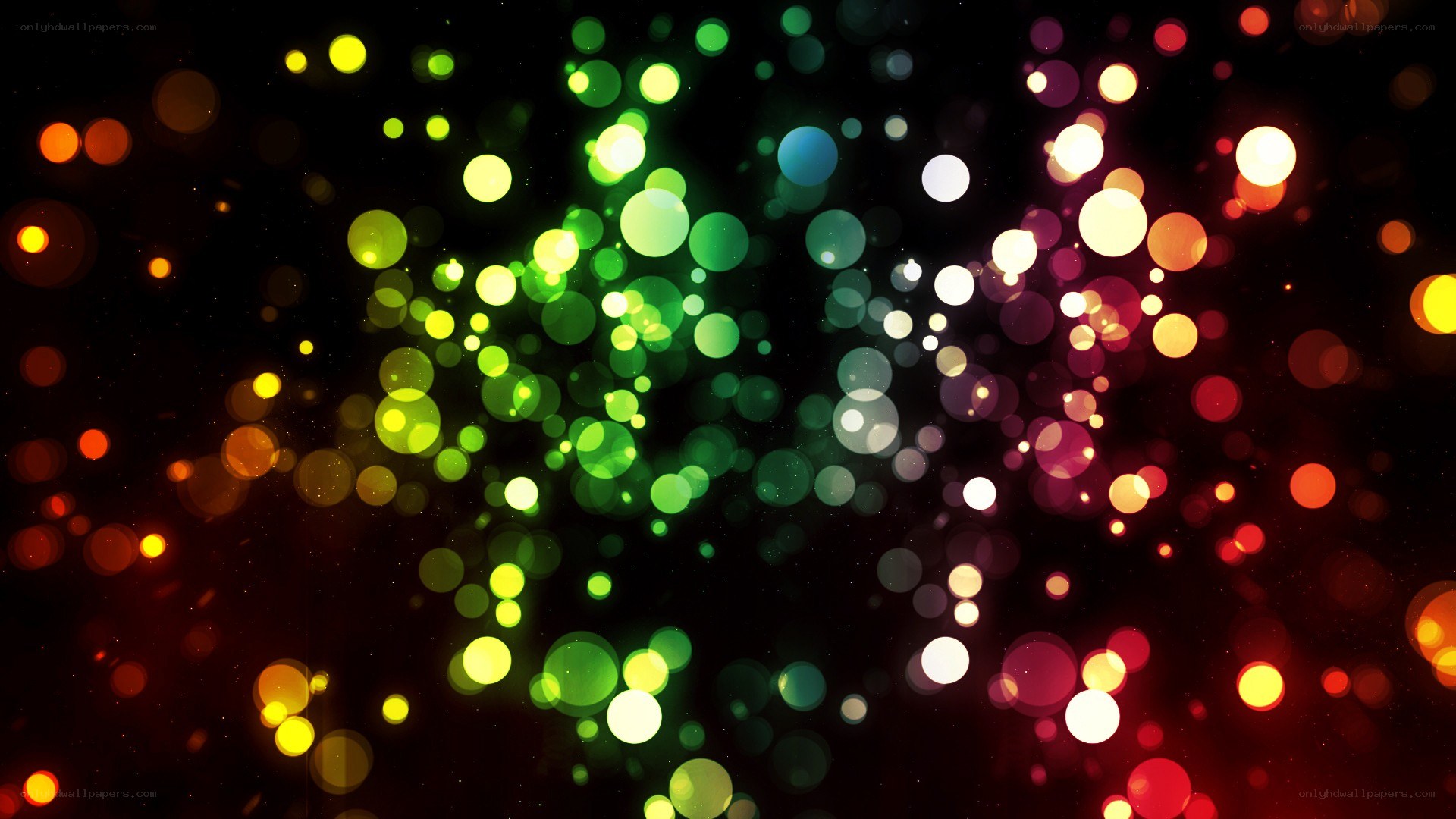 colorful bokeh light particles