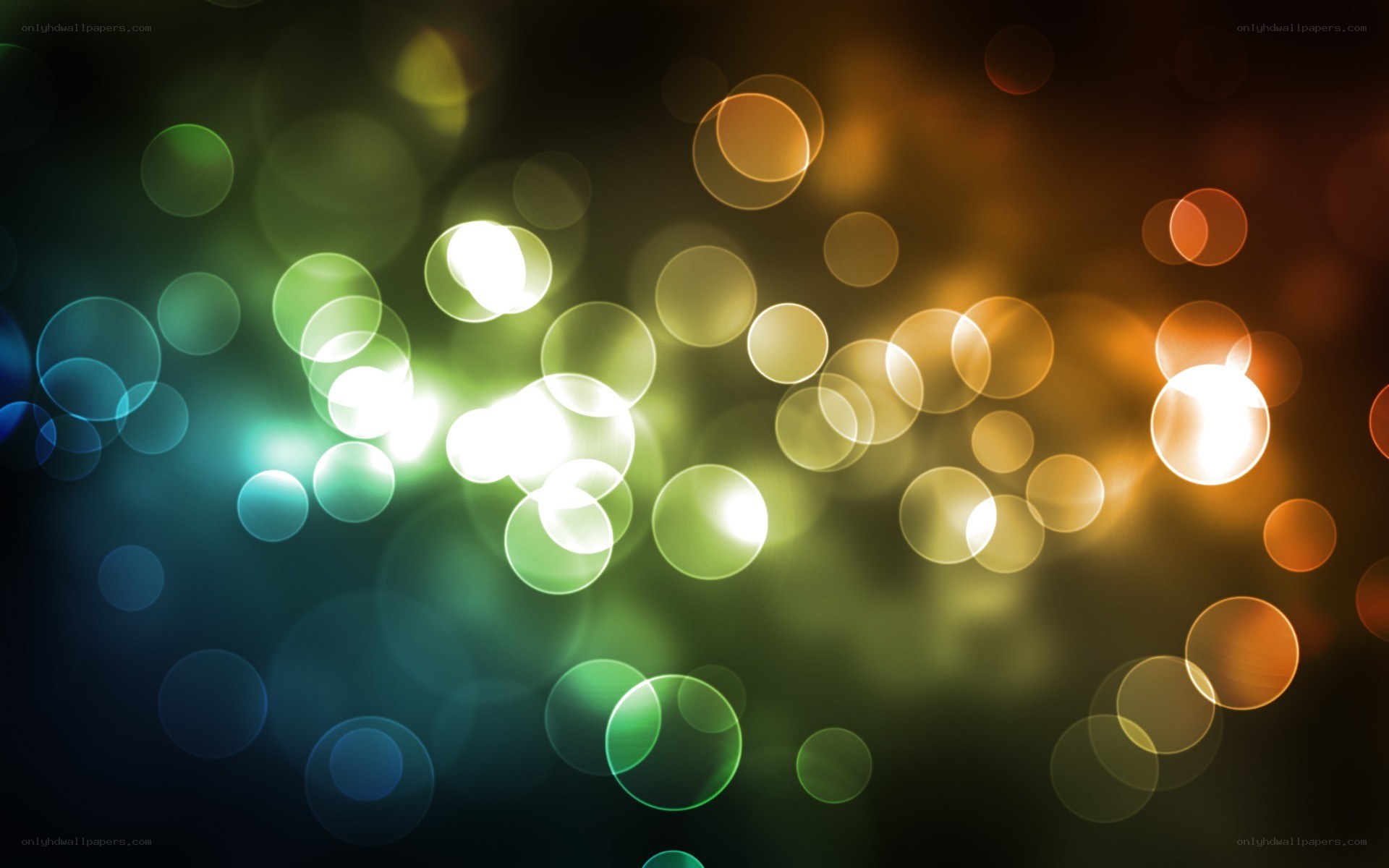 colorful bokeh lights