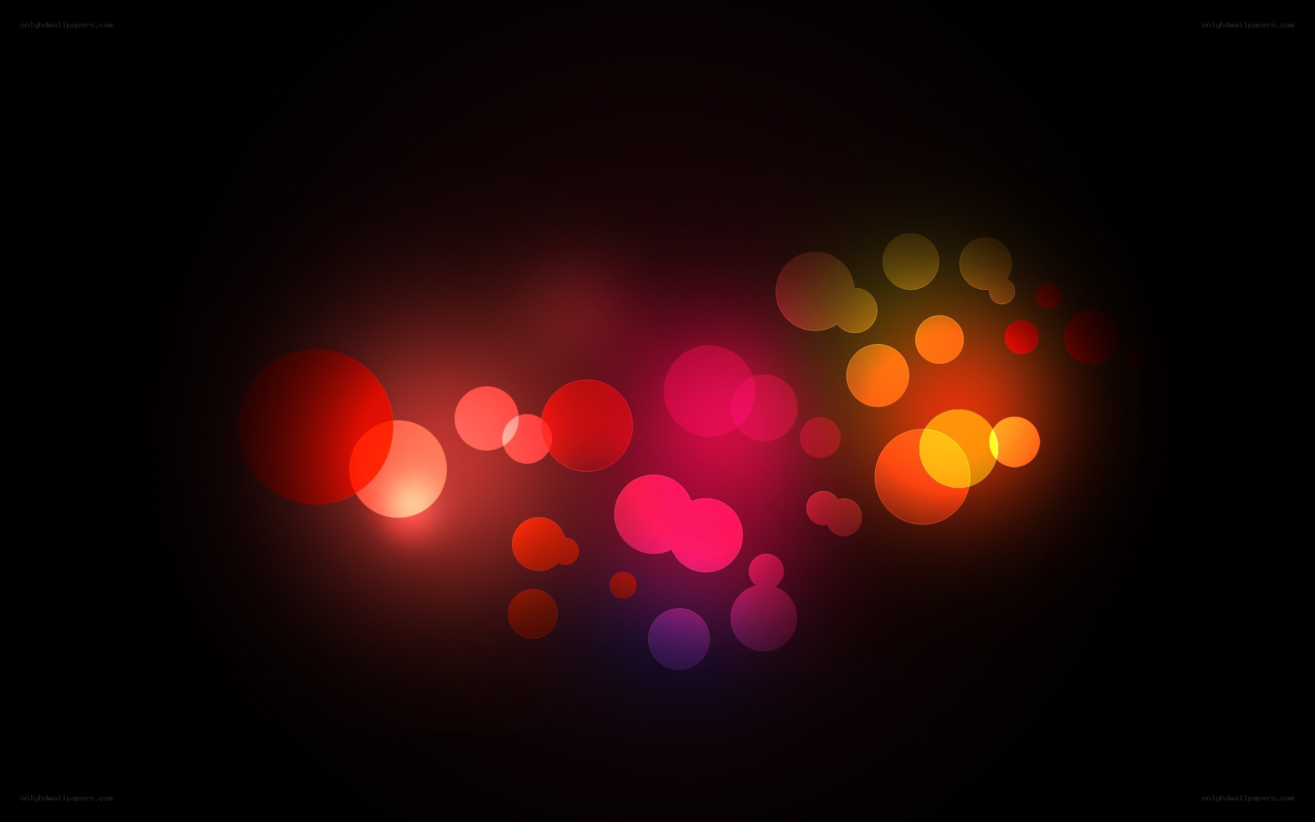 colorful bokeh lights