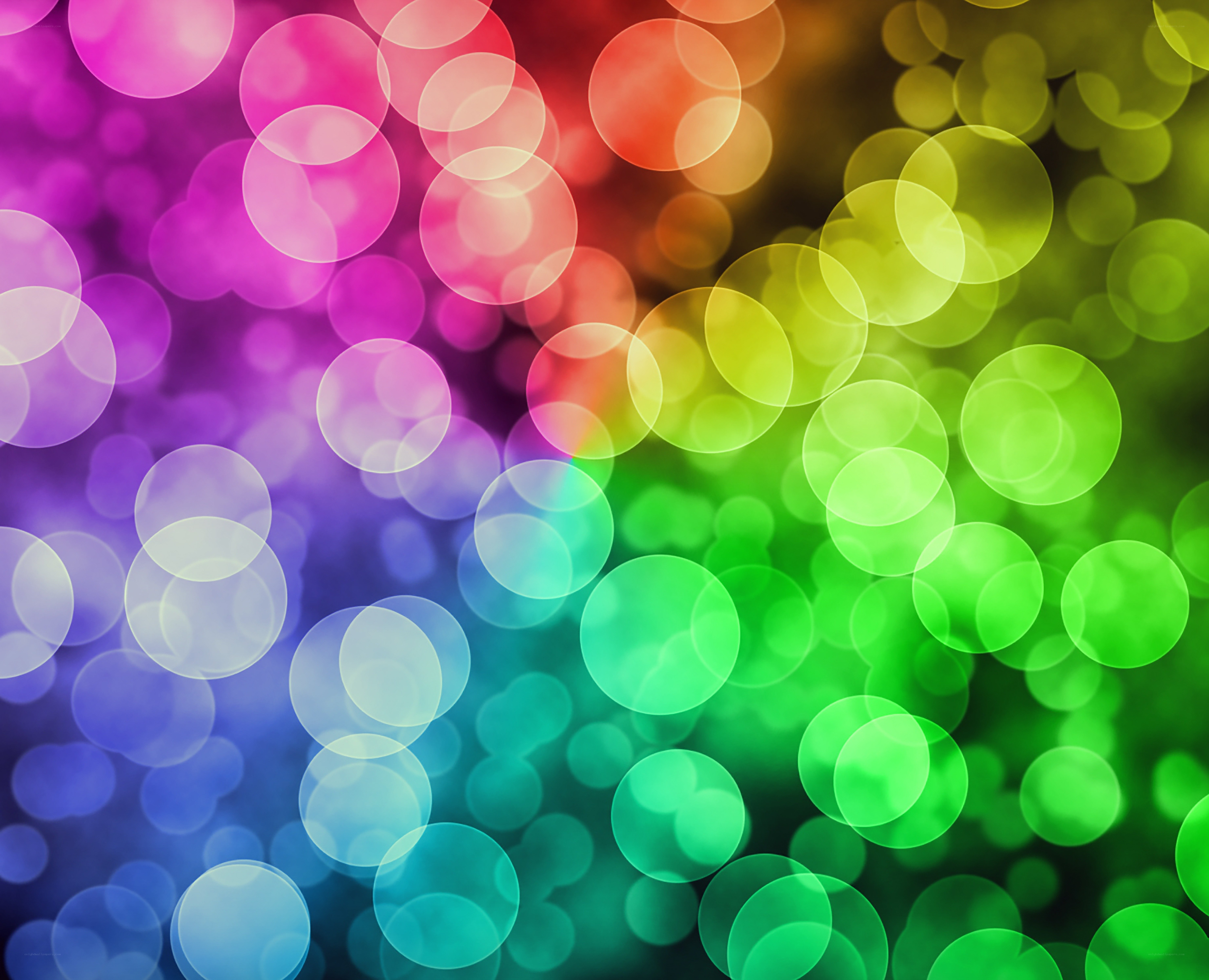 colorful bokeh lights