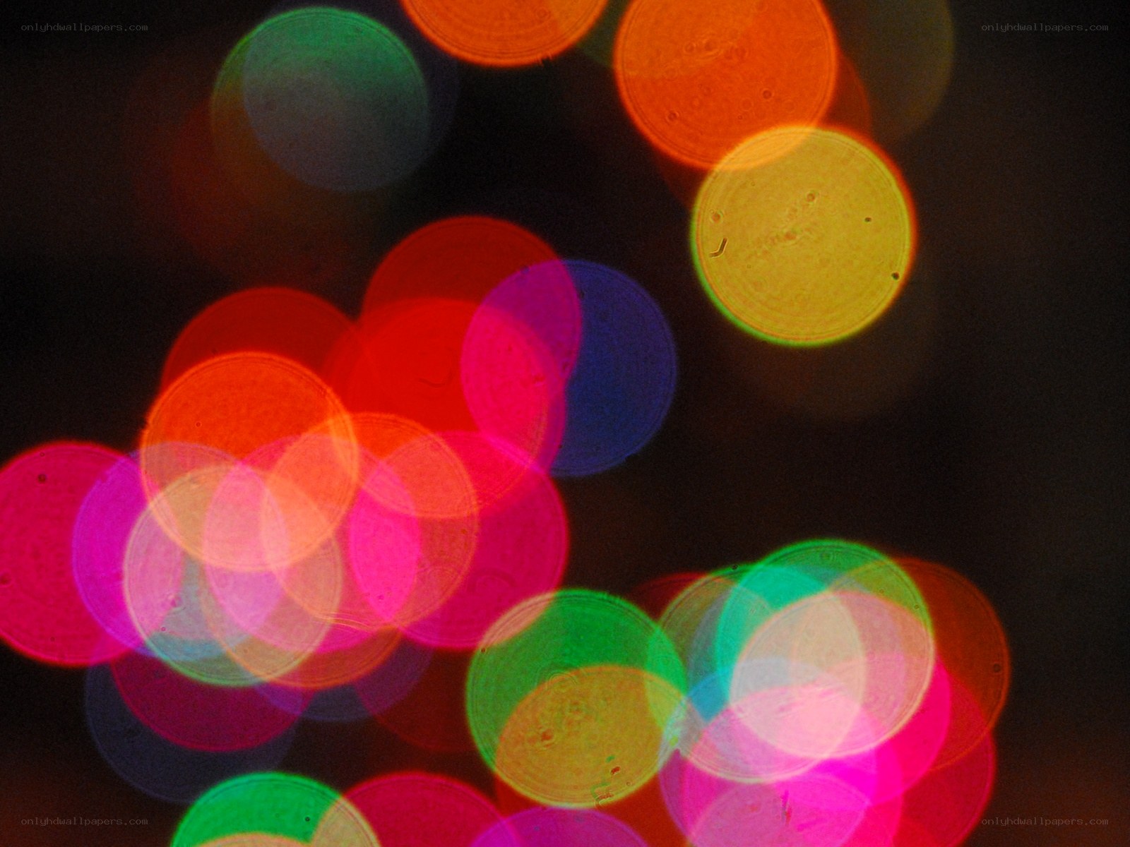 colorful bokeh lights