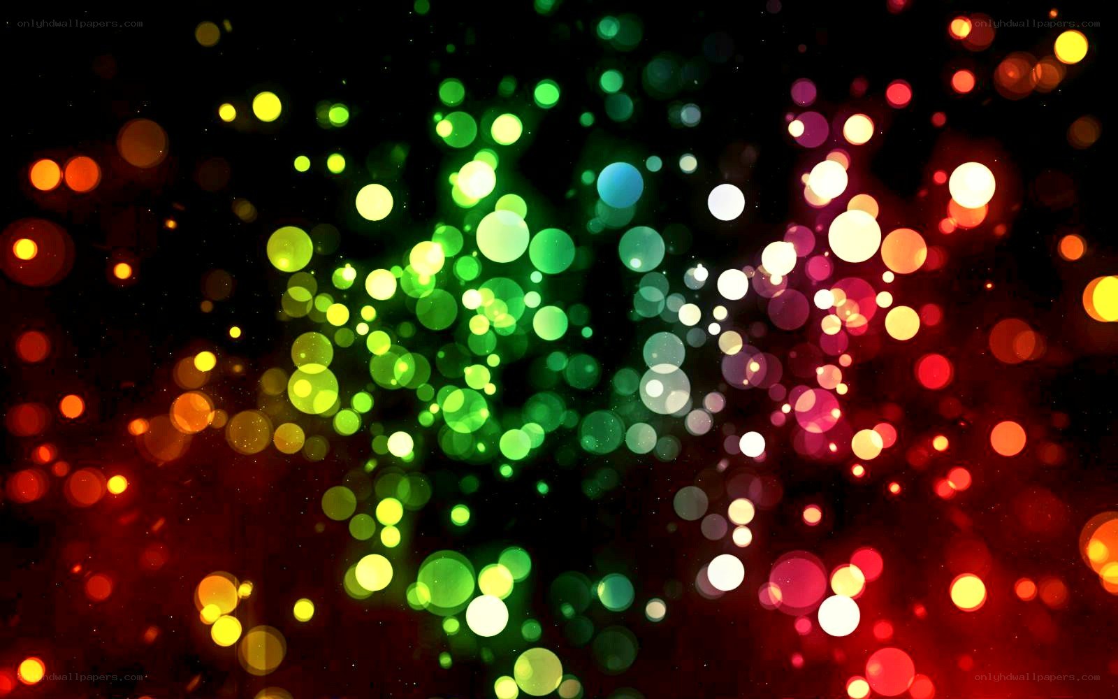 colorful bokeh lights
