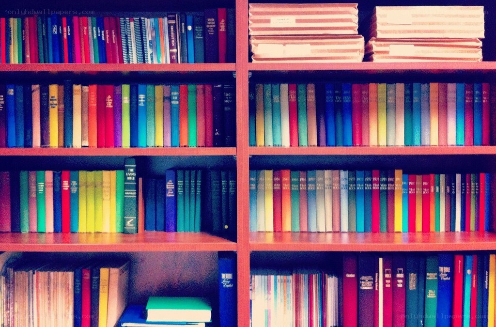 colorful bookshelf display