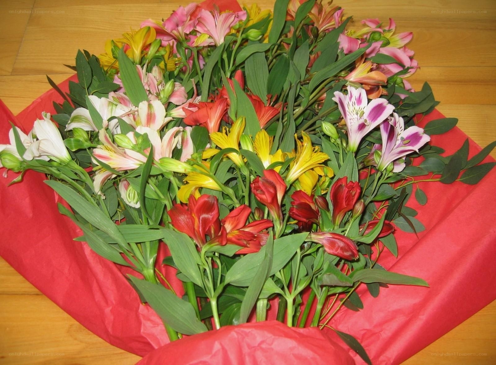 colorful bouquet of alstroemeria