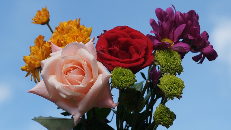 Colorful bouquet of flowers