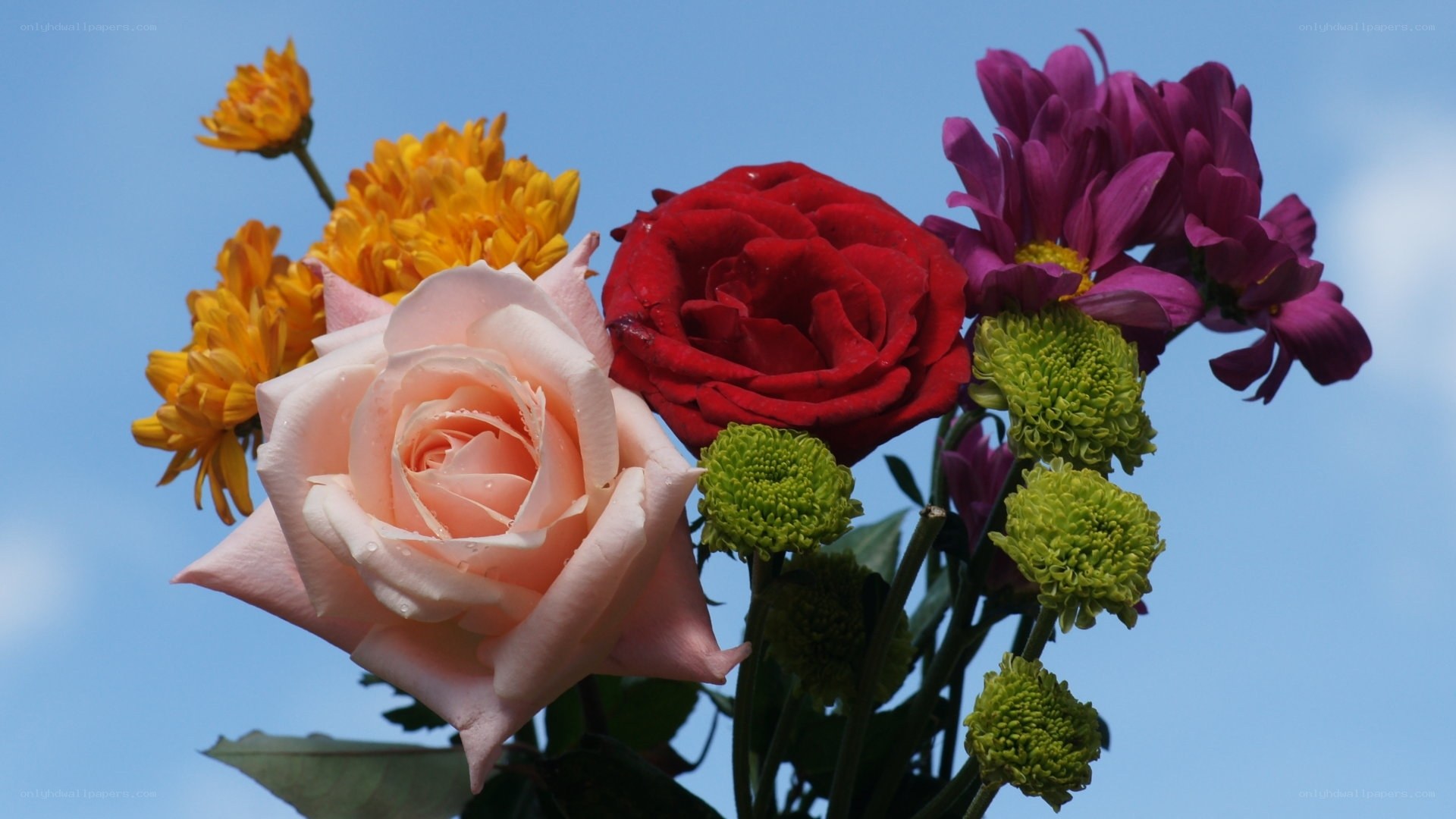 Colorful bouquet of flowers