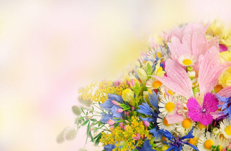 Colorful bouquet of wildflowers