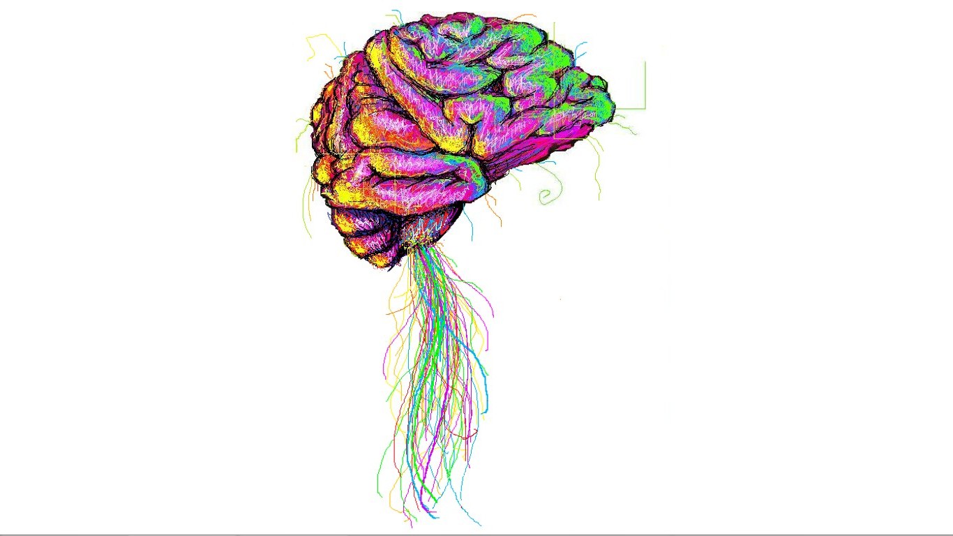 colorful brain illustration
