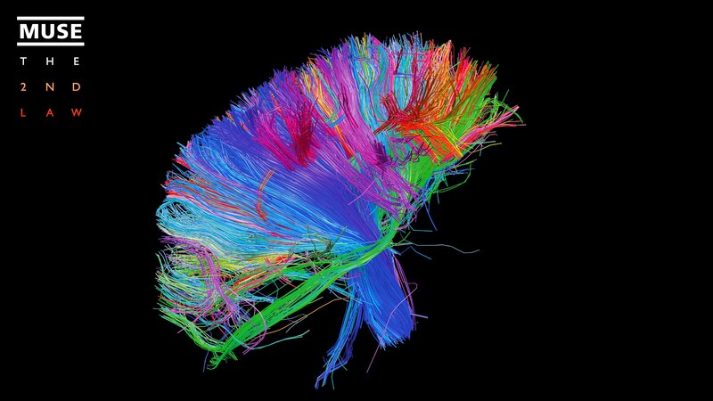 Colorful Brain Model — Blue, Scientific