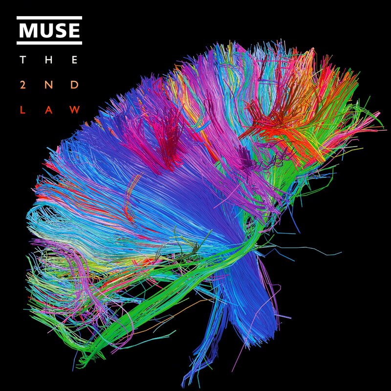 Colorful Brain Model — Blue