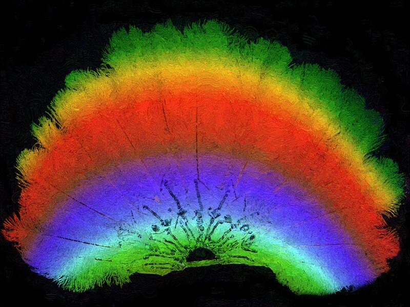 Colorful Brain Scan