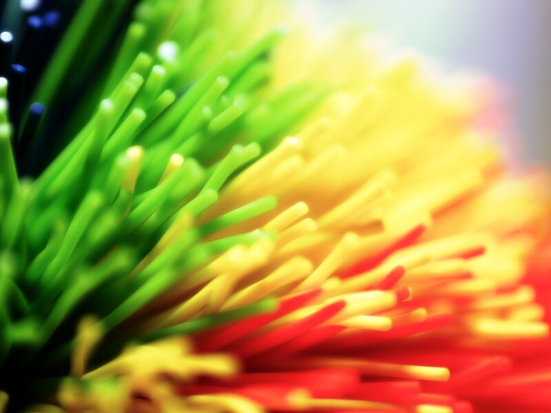 Colorful Bristle Brush