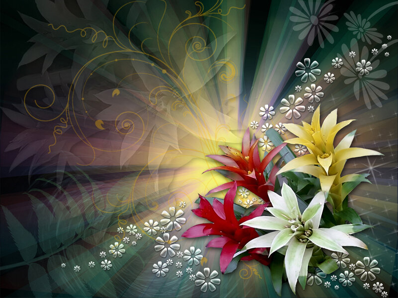Colorful Bromeliad Flowers — Green