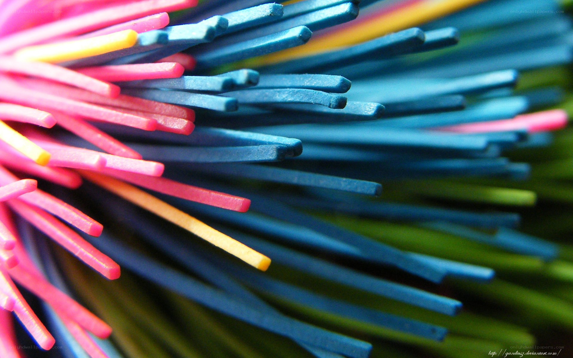 Colorful brush bristles