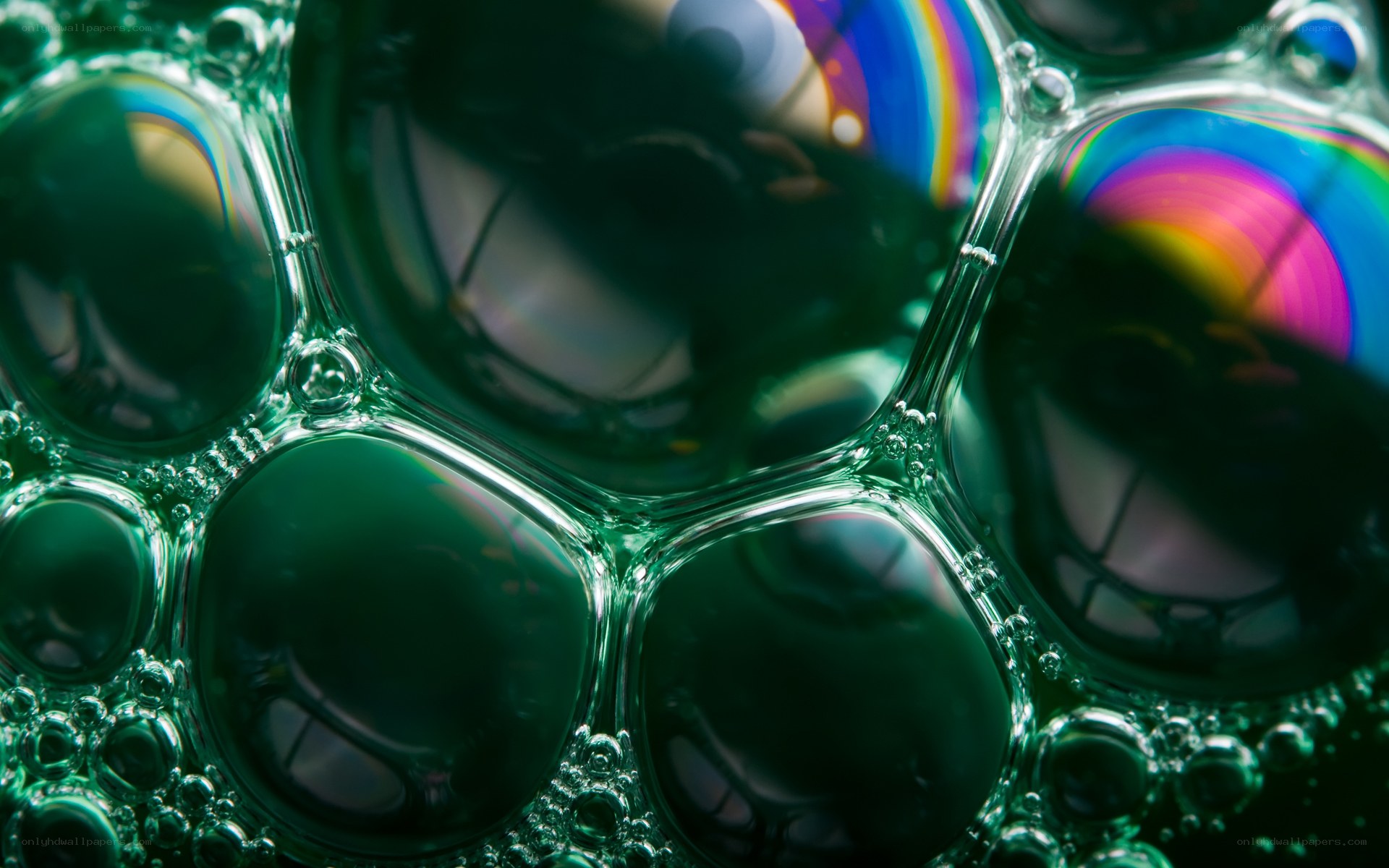 Colorful bubble foam close-up