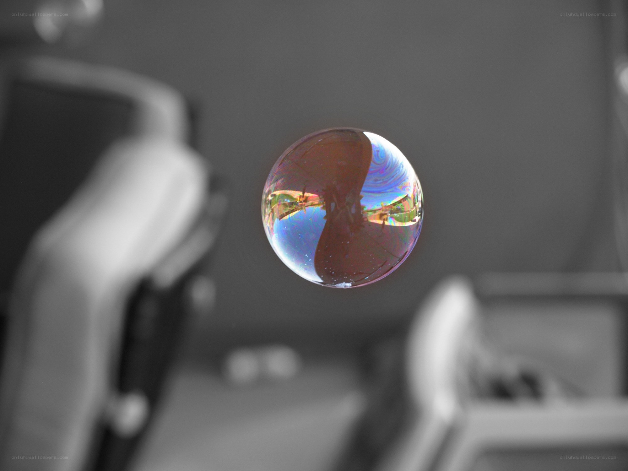 Colorful bubble in grayscale room