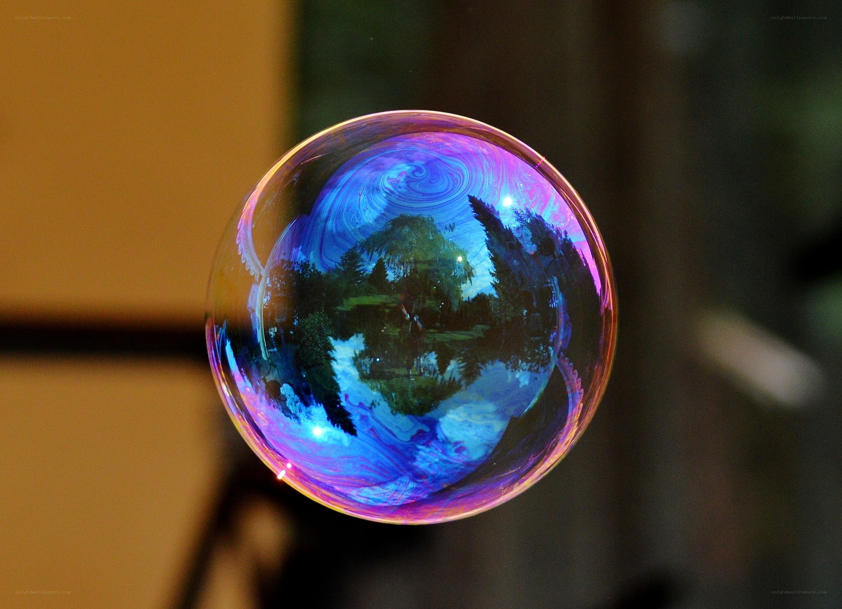 Colorful bubble with landscape reflection