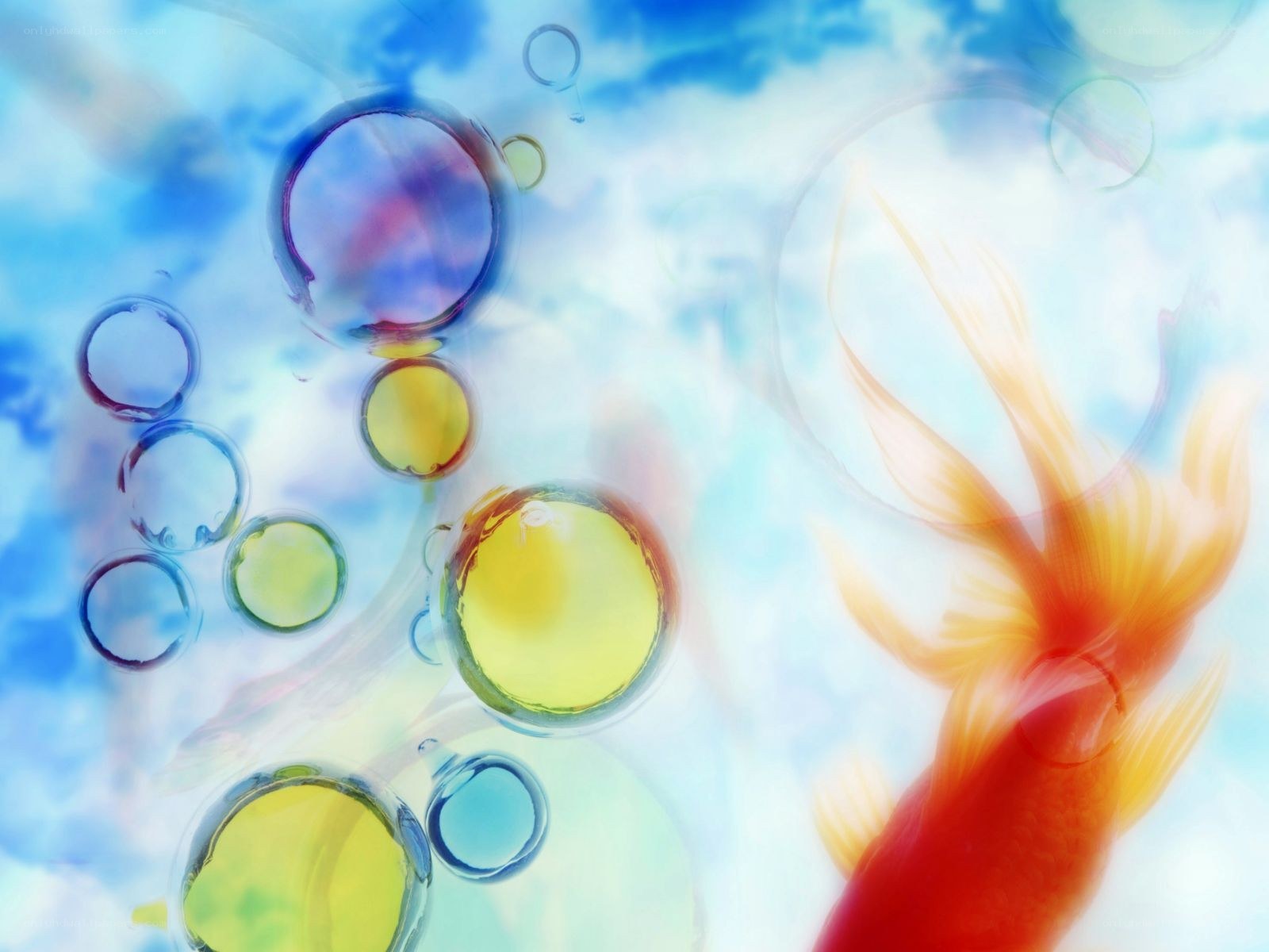 Colorful bubbles and goldfish