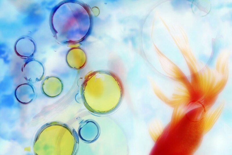 Colorful bubbles and goldfish