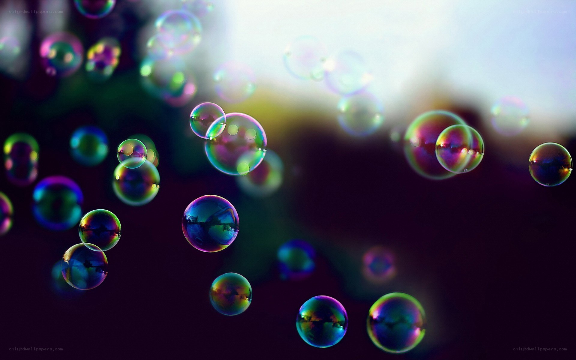 Colorful bubbles floating in air