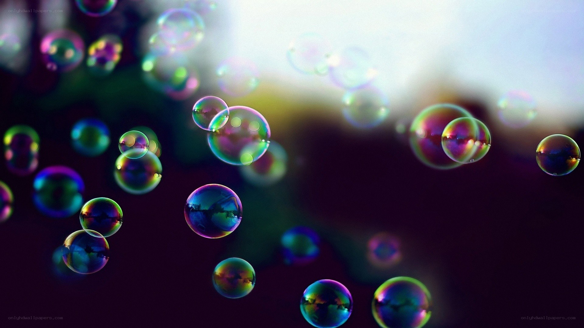 Colorful bubbles floating in air