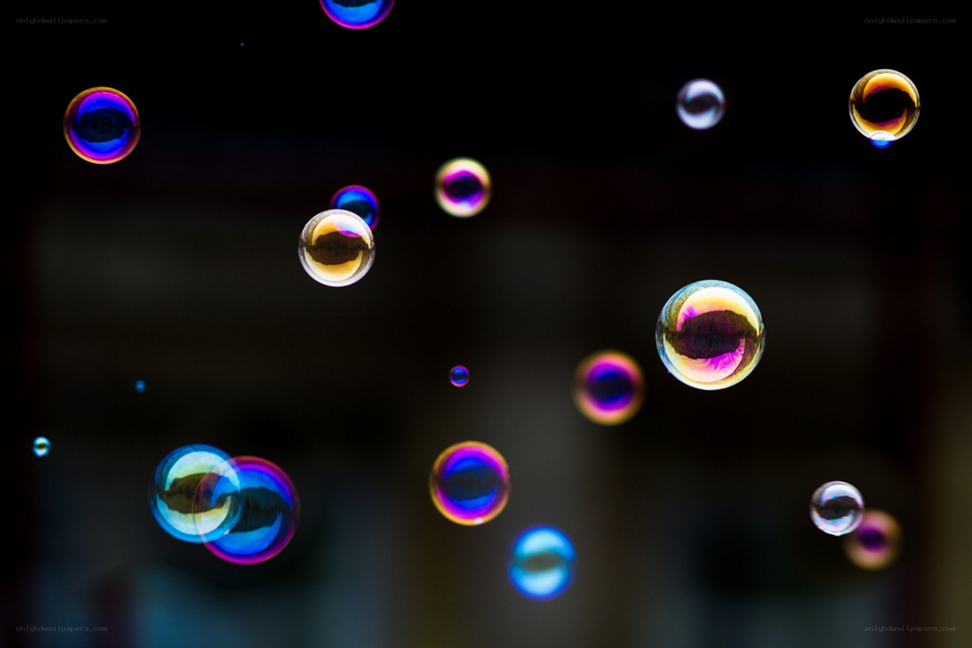 Colorful bubbles floating in air