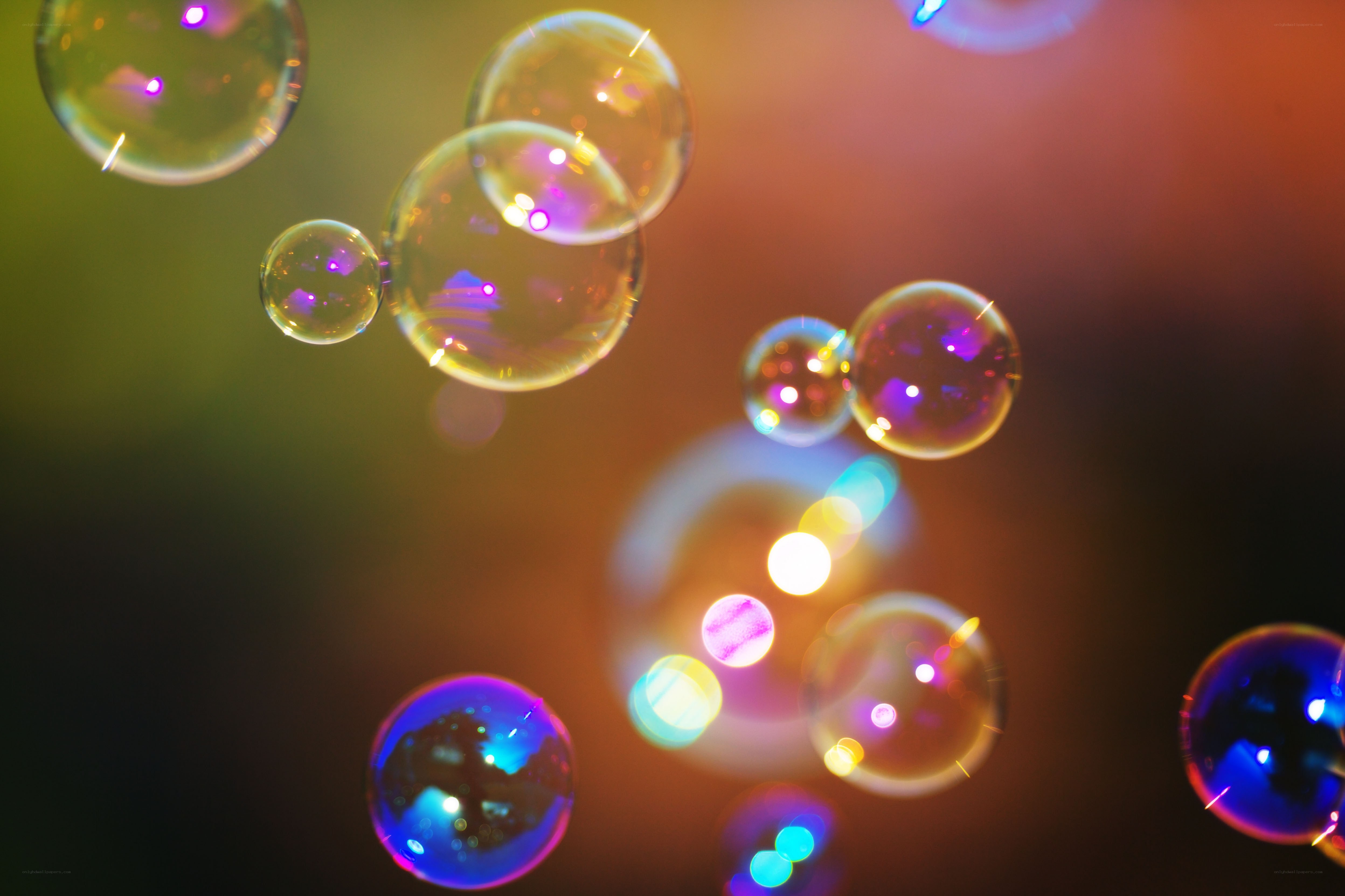 Colorful bubbles floating in air