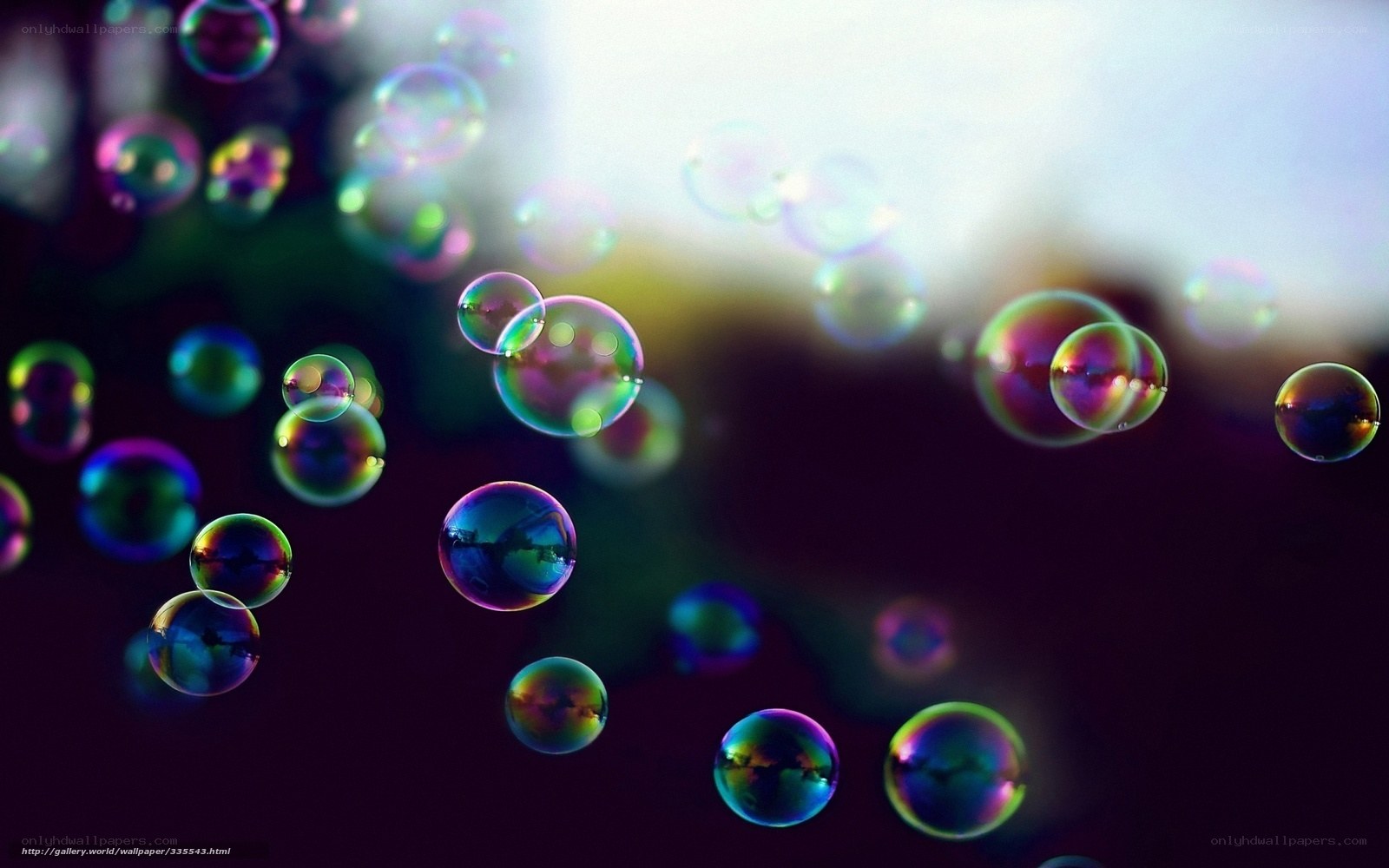 Colorful bubbles floating