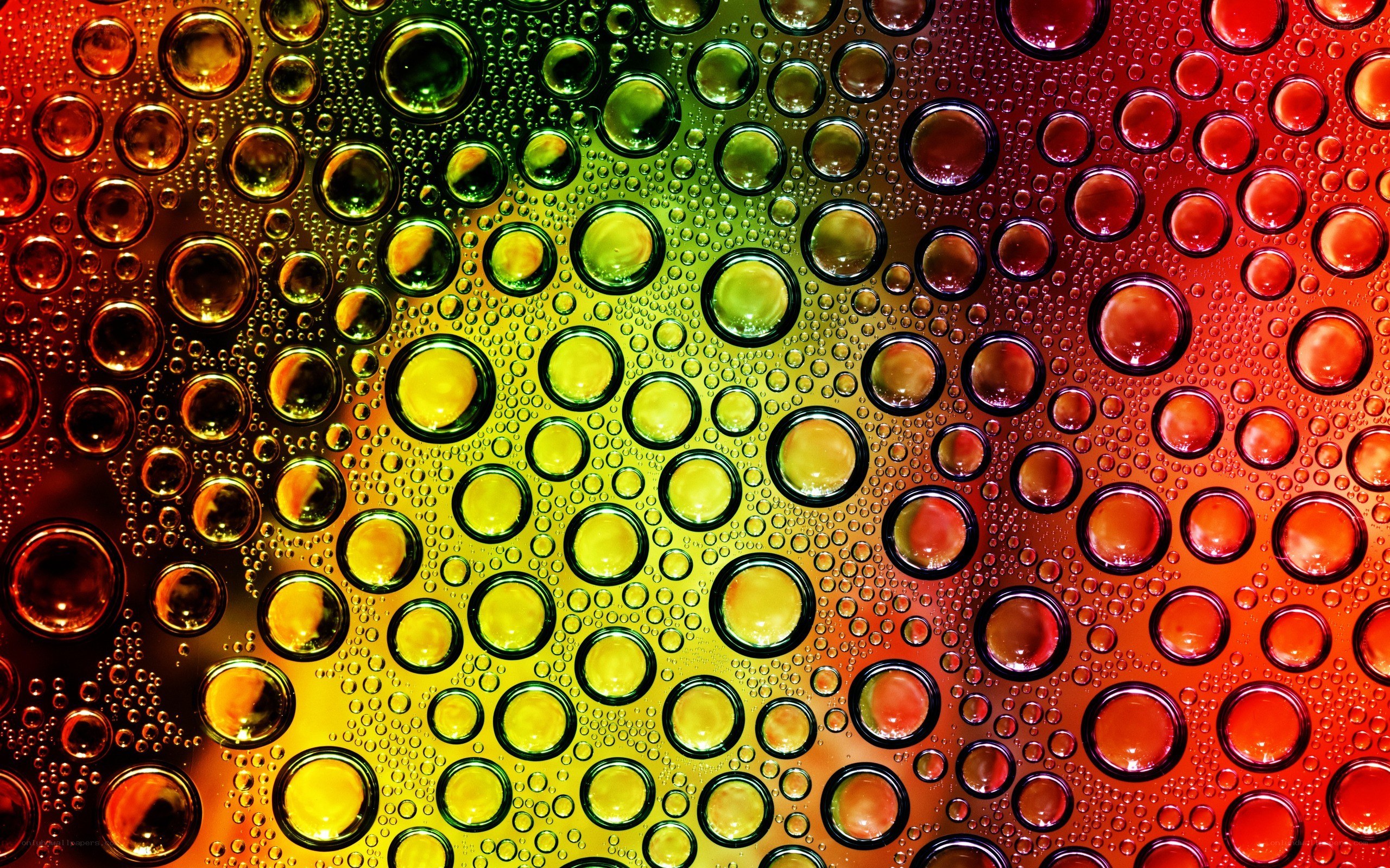 Colorful bubbles on glass