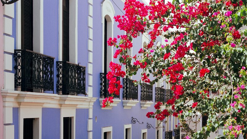 colorful building with bougainvillea