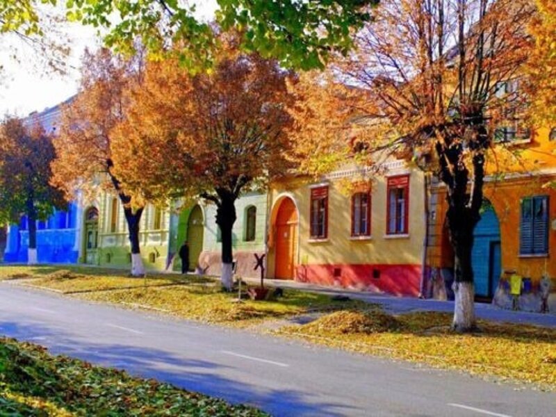 Colorful Buildings in Autumn — Yellow