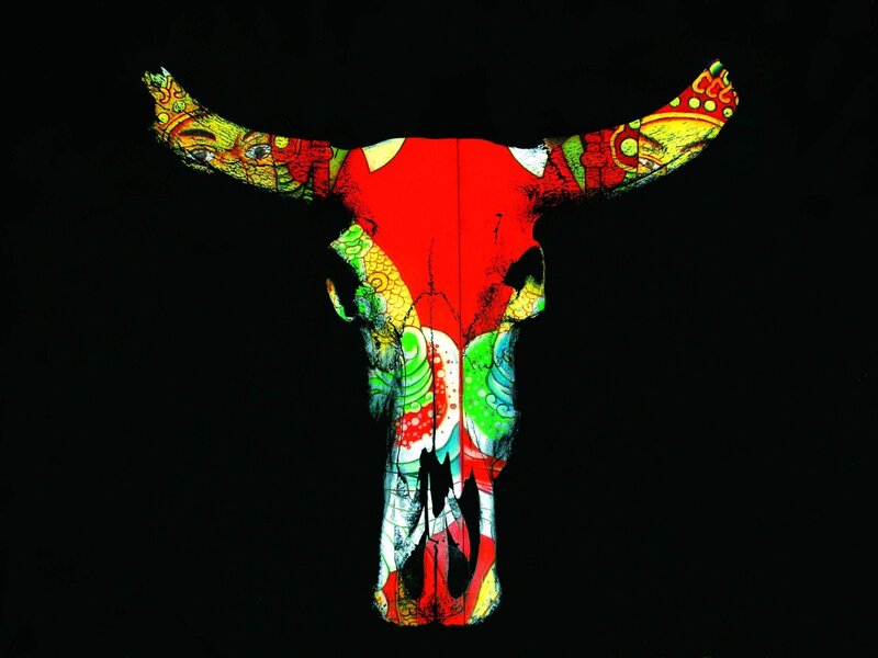 Colorful Bull Skull