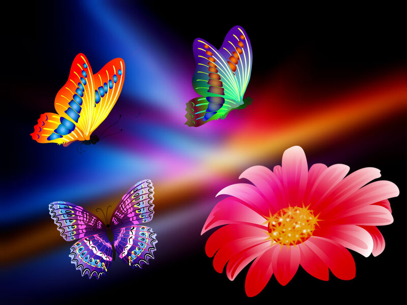 Colorful Butterflies and Flower