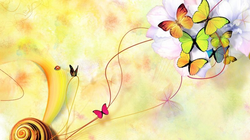 colorful butterflies and flowers