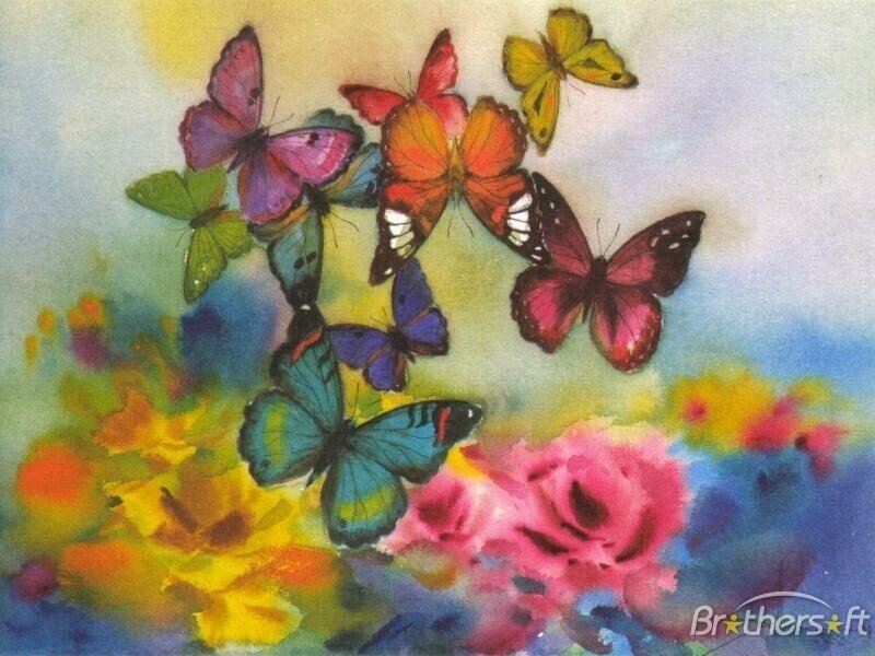 Colorful butterflies and flowers