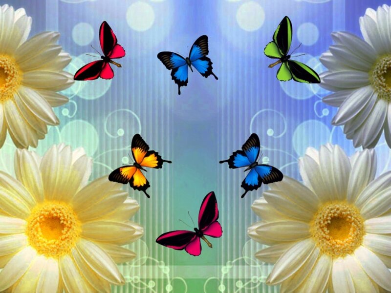 Colorful Butterflies and Flowers — Blue