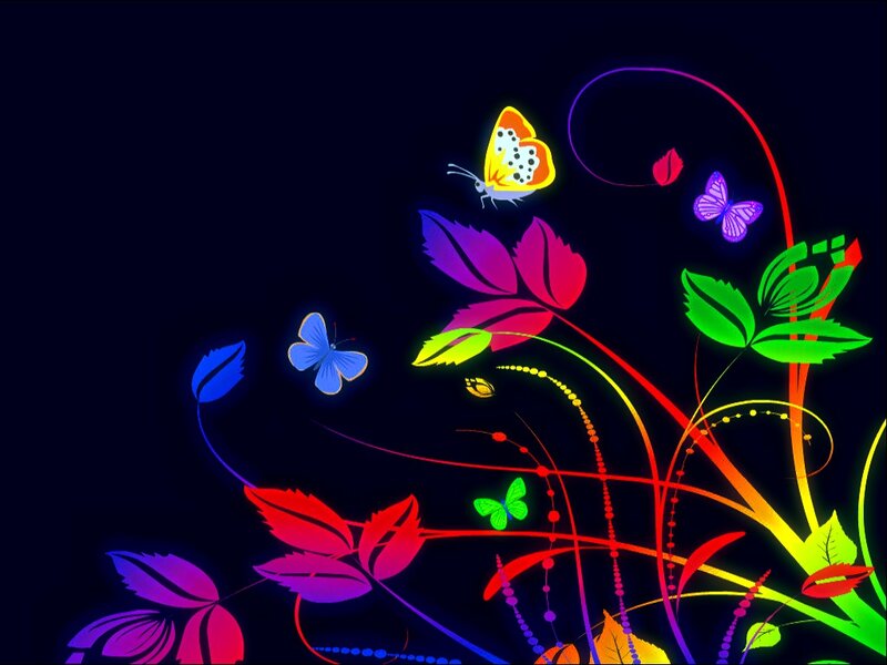 Colorful Butterflies and Plants