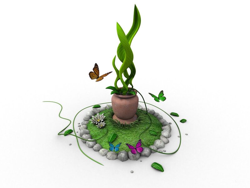 Colorful butterflies around a plant
