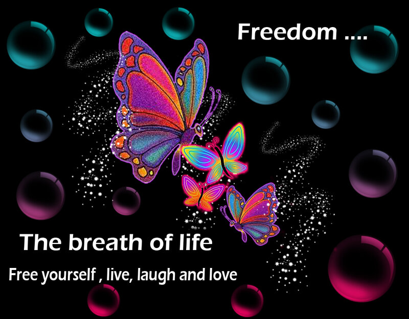 Colorful Butterflies — Black, Dreamy