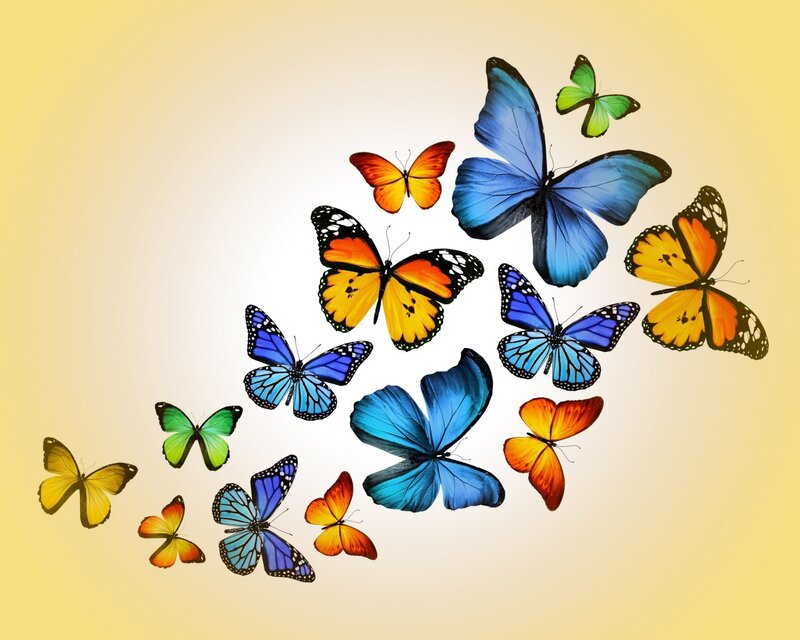 Colorful Butterflies — Blue, Calm, Digital Art, Background