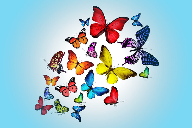 Colorful Butterflies — Blue, Calm, Digital Art, Sky