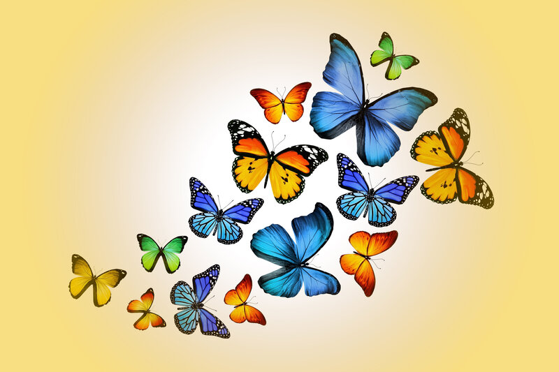 Colorful Butterflies — Blue, Calm, Digital Art