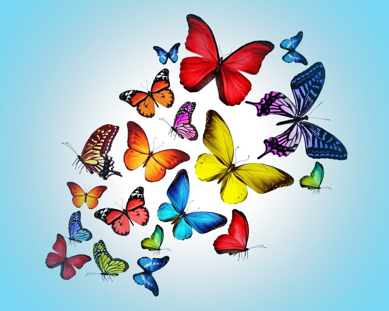 Colorful Butterflies — Blue, Calm, Illustration
