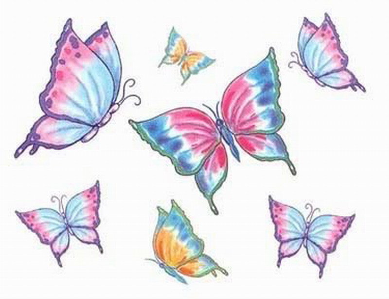 Colorful Butterflies — Blue, Calm