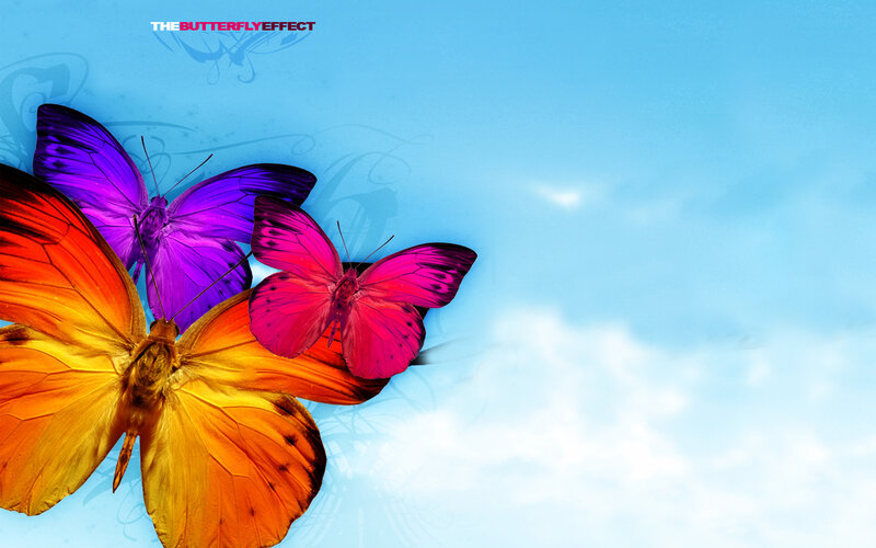 Colorful Butterflies — Blue, Serene