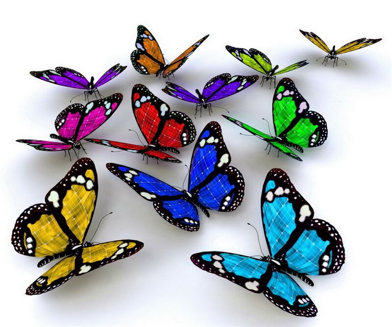 Colorful Butterflies — Blue, Vibrant, Digital Art, White Background